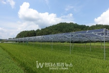 한국형 FIT 제도 일몰… 영농형 태양광 활성화 옥죄나