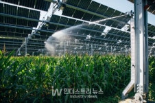 TSE, 프랑스 북부 2.9MW 영농형 태양광 구축…  물·온도 스트레스 줄여 작물 재배 효율 ↑