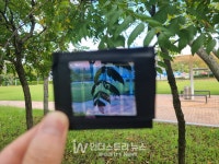 태양광으로 휴대폰 보호필름 만든다… 보이지 않는 발전소 가시화