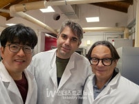 물속에서도 에너지 생산하는 태양광 등장! 세계 최초의 수륙양용 태양전지