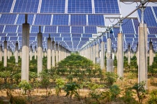 경북도, 태양광 확산 본격화… 햇빛 소득마을 조성 및 영농형 태양광 추진