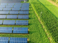 영농형 태양광 활성화 시동… 전력수요 많은 수도권서 시범사업 추진