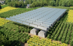 [In터뷰] 유에너지, 영농형 태양광과 그린수소로 에너지 혁신 이끈다