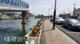 포항 죽도동행정복지센터, 죽도어시장 아름다운 꽃길 조성