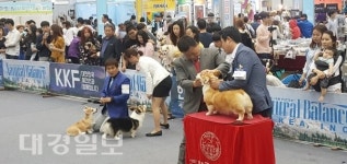 엑스코서 한 달간 문화행사 가족과 함께 즐겨요