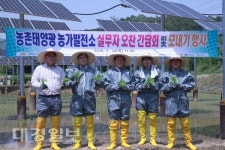 한국수력원자력, 영농형 태양광발전소 모내기
