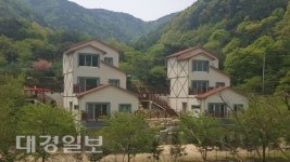 비학산 자연휴양림, 동해안 최고의 힐링명소로 탈바꿈