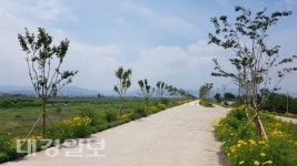 경산시, 아름다운 금호강 강바람길 조성 사업 박차