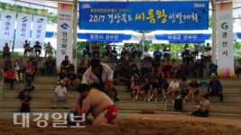 올해 경산자인단오제 대학장사 씨름대회, 자인면 계정숲 씨름장서