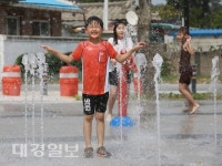영주시, 여름철 폭염 종합대책 본격 가동