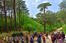 올 여름 더위는 울진에서 날려 버리세요