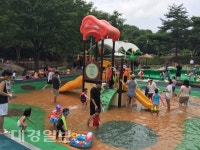 포항시, 산림휴양지 숲속 물놀이장 7일 일제 개장