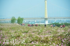 고령군, 낙동미로(美路) 릴레이 자전거 축제