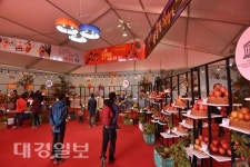 청송사과축제 군민의 품에 돌아오다