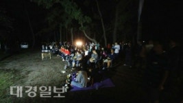 포항시 대송면, 홍계숲에서 솔숲 영화상영회 개최