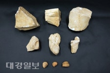 경주 황용동 절터서 신라 금동귀면 첫 출토