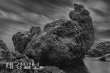 [포항산책] 의식과 무의식의 경계