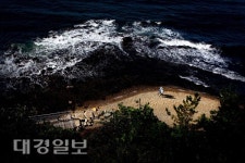 [포항산책] 가던 길을 잠시 멈추고