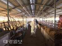 클린축산농장 조성으로 시민 주거환경 보장