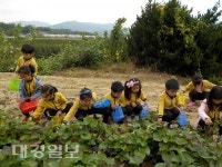 아포초등학교병설유치원, 에제르스쿨 현장체험학습 실시
