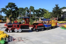 재미는 덤 ! 기차타고 자연 속으로~