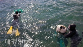 월성원자력본부, 지역의 풍요로운 바다 어장 가꾸기에 앞장서
