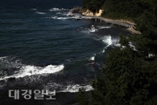 [포항산책] 뒤돌아보는 길