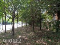 대구 북구, 내년 녹색자금 5억5천만원 확보