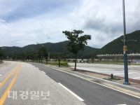 청렴과 미(美)인 나무, ‘왕벚나무 가로수 꽃길’ 조성