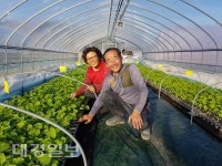 [강소농 특집] 성주, ‘참외’를 넘어 ‘캔탈로프 멜론’의 성지로 도약