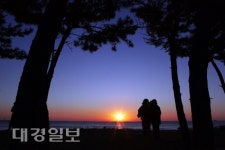 [포항산책]