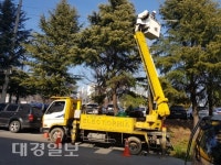 고압 전력선 보호·안전위해 조경수 전지작업 실시