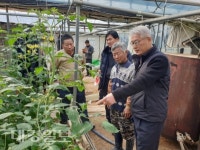 상주시, 구미보 개방에 따른 시설하우스 현장 방문