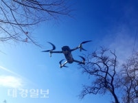 안동시, 소나무재선충병 방제사업 총력 대응