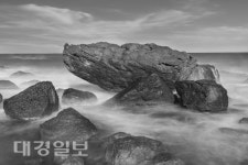 [포항산책]돌의 기억