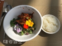 특수기능성 희귀채소의 성지 봉화해오름영농조합법인!