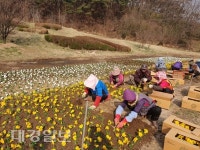 포항시 남구청, 봄맞이 화단 조성