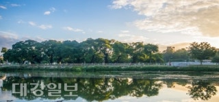 성주 성밖숲  2019 생태테마관광 육성 공모사업에 선정