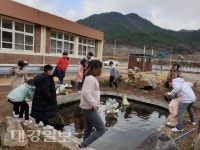 길안초, 본·분교 통합수업의 날