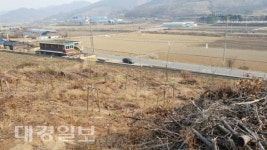 150억원 사업비 투입 무을 돌배나무 특화숲 조성사업 엉터리인가?