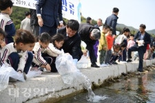 영덕황금은어야 무럭무럭 자라서 돌아오너라