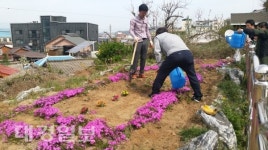 휴천3동 꽃밭이 있는 마을 함께 만들어