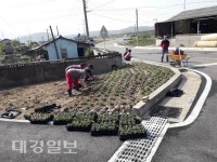 경주시 외동읍 개곡1리, 빈 공터 꽃밭 조성