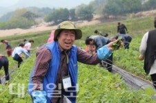 상주시, 제4회 화북 용화마을 곰취 축제 개최