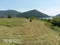 영천댐 망향공원 주변 공한지 꽃밭 조성