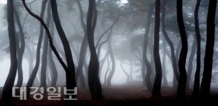 남경환 사진전