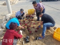 상주 모동면, 행정복지센터 꽃밭 조성