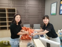경북 양파농가 생산과잉에 울상