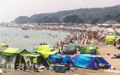 경주시, 5개 해수욕장 12일 일제 개장