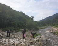 김천역, 증산면 자연정화활동에 나서